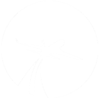 THE IMPORTANCE OF AVIATION TO IRISH TOURISM